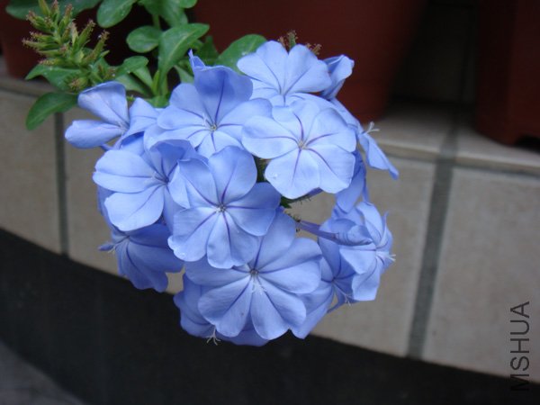 DSC03076.JPG