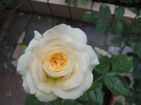 DSC03066.JPG