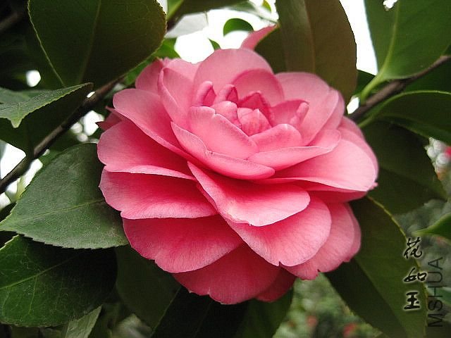 ��Ƭ 1027.jpg