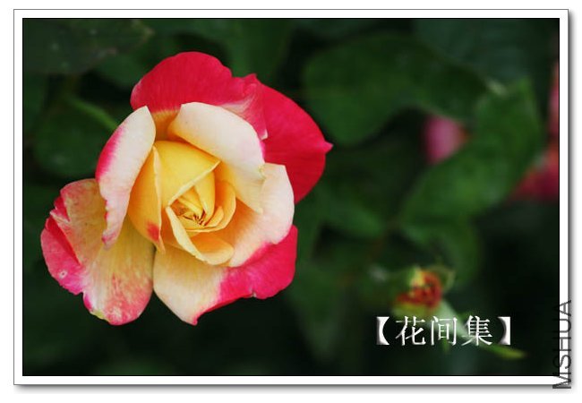 IMG_5915 ����.jpg