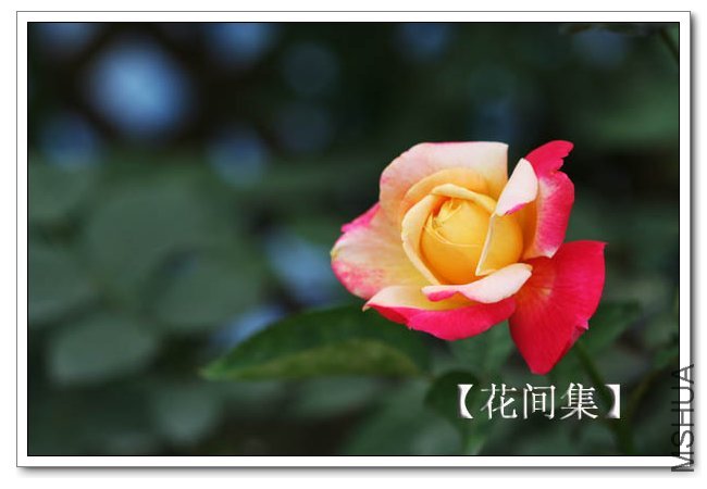 IMG_5913 ����.jpg