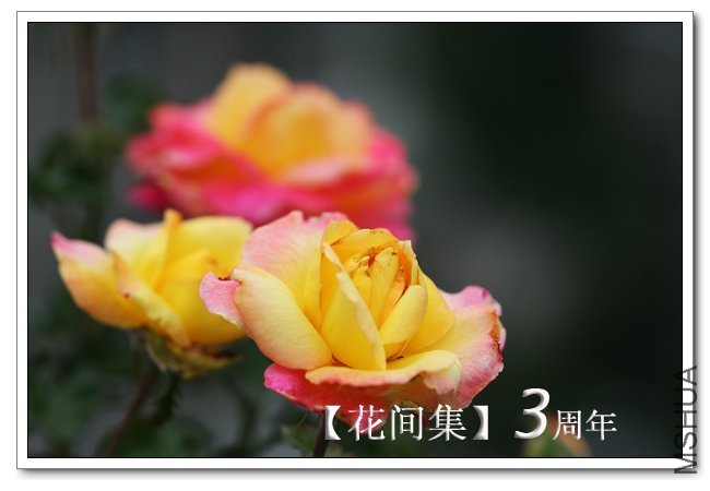 IMG_6083 ����.jpg