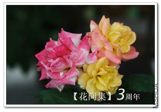 IMG_6061 ����.jpg