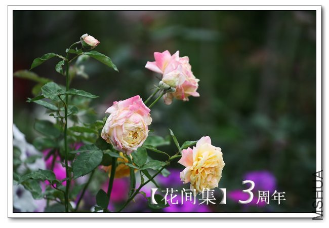 IMG_6127 ����.jpg