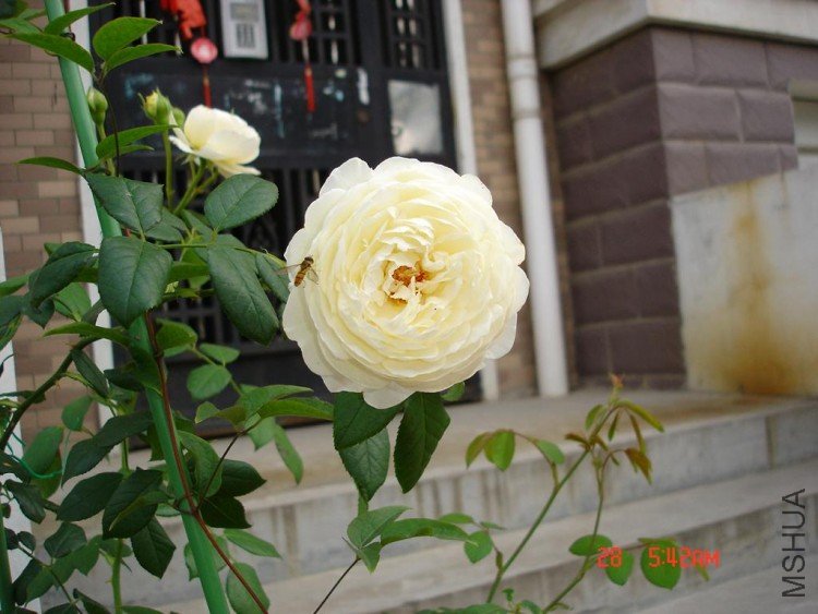 ��Ƭ09516 015.jpg