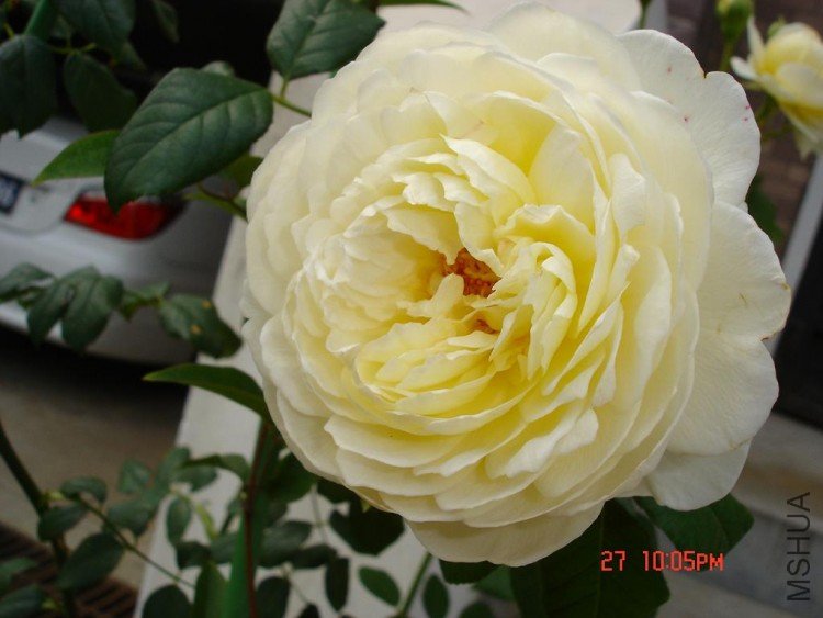 ��Ƭ09516 012.jpg