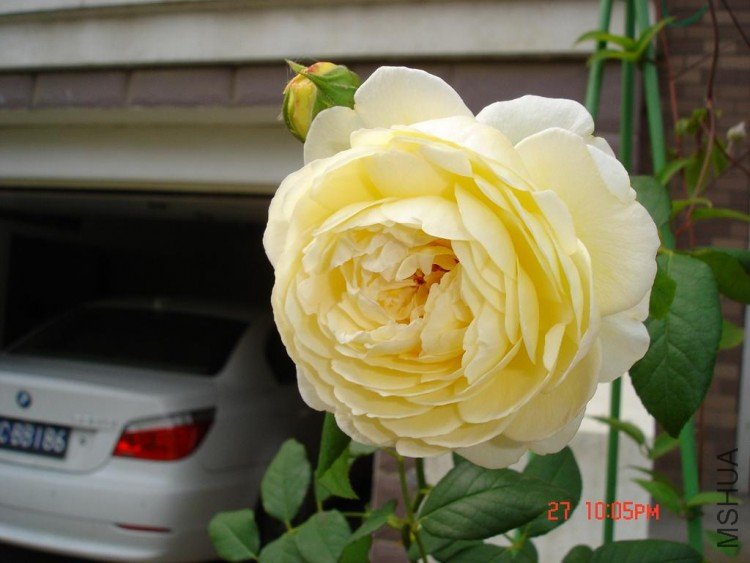 ��Ƭ09516 011.jpg