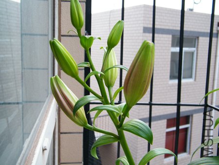 DSCF1321.JPG