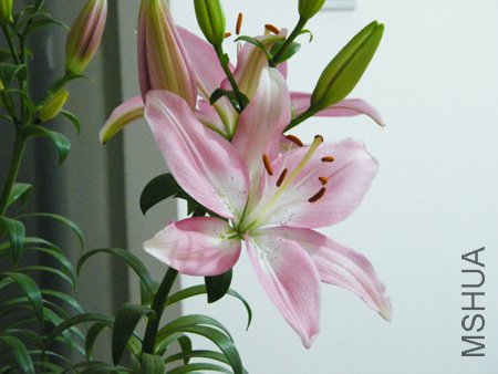 DSCF1336.JPG