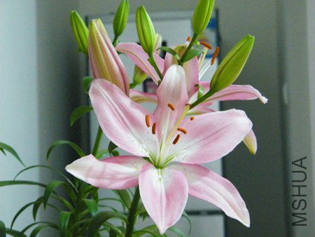 DSCF1337.JPG