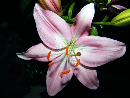 DSCF1344.JPG