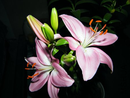 DSCF1345.JPG