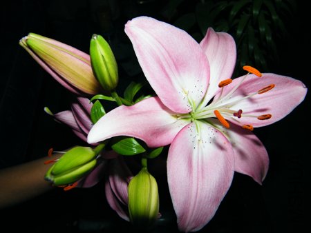 DSCF1347.JPG