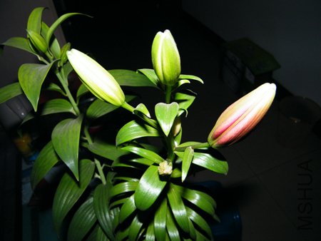 DSCF1348.JPG
