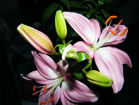 DSCF1349.JPG