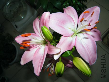DSCF1359.JPG