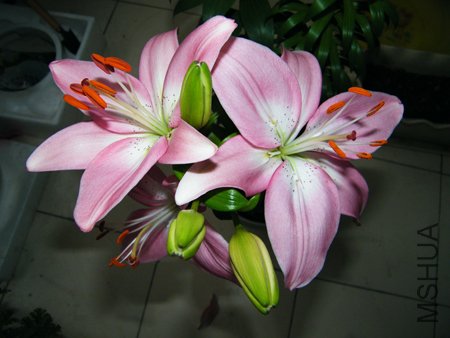 DSCF1354.JPG
