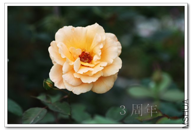 IMG_6045 ����.jpg