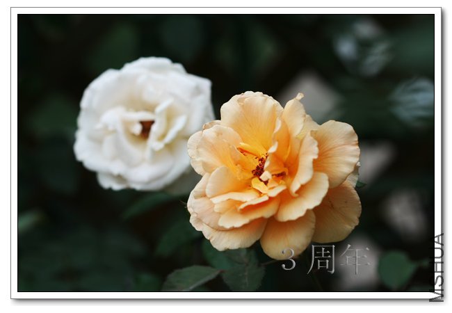 IMG_6046 ����.jpg