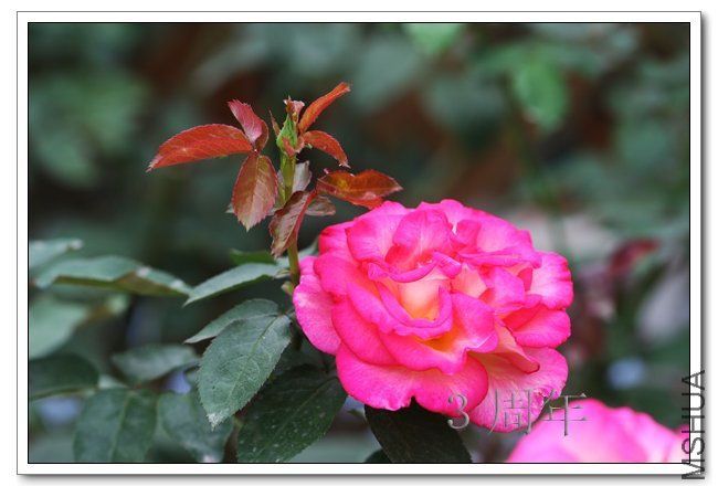 IMG_6043 ����.jpg