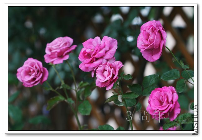 IMG_6063 ����.jpg