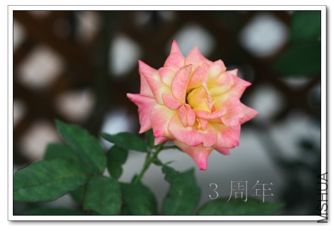 IMG_6062 ����.jpg