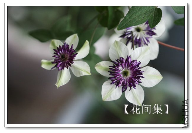 IMG_6004 ����.jpg