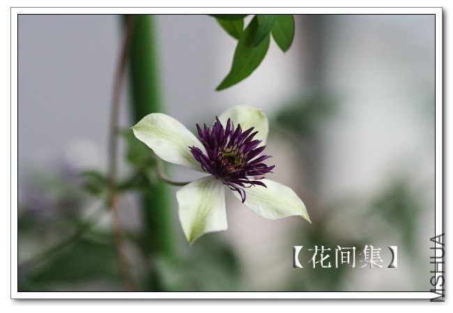 IMG_5958 ����.jpg