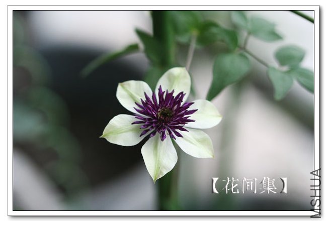 IMG_5961 ����.jpg