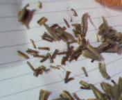 ͼƬ 017.jpg