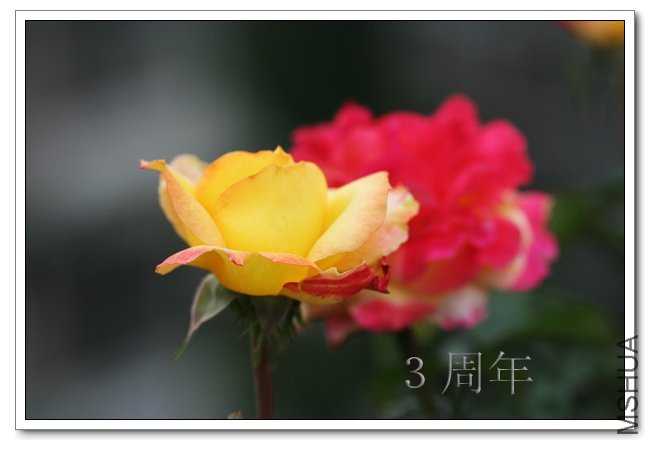 IMG_6082 ����.jpg