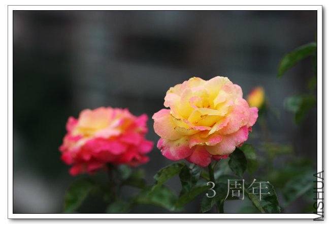 IMG_6080 ����.jpg