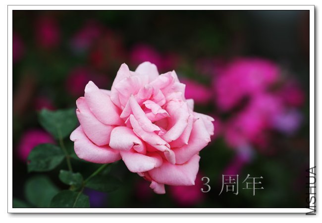 IMG_6090 ����.jpg