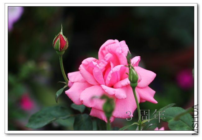 IMG_6088 ����.jpg