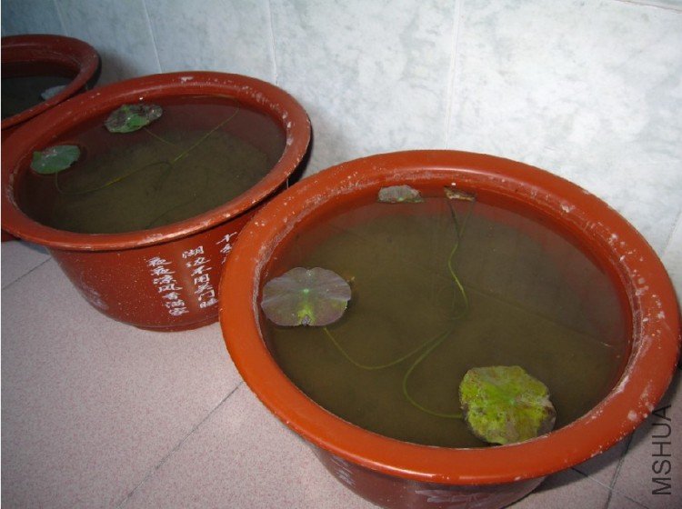 ���ģ��Ͻ��Ż���̨