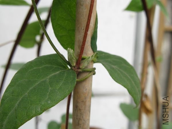 4.16��ѿ���