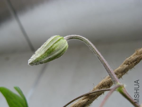 4.22�Ļ��������ӱ�����