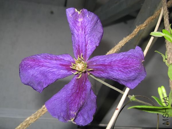 4.30�ܿ���ȫ����