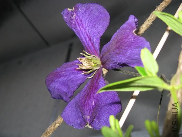 4.30�ܿ���ȫ���ˣ���Ե�е㽹������ɹ��