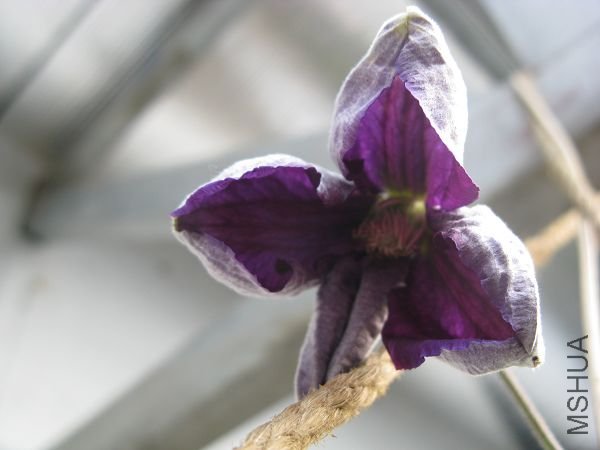 4.28�����ܿ�