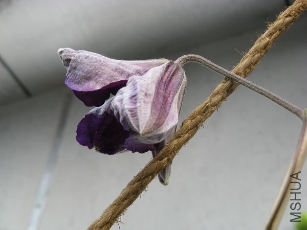 4.28�����ܿ�