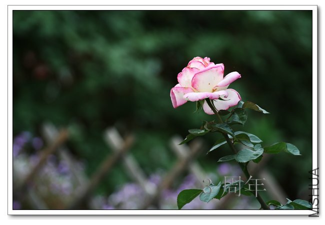 IMG_6133 ����.jpg