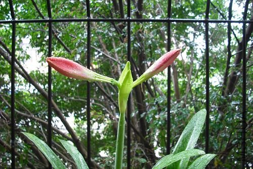 DSCF2332.jpg