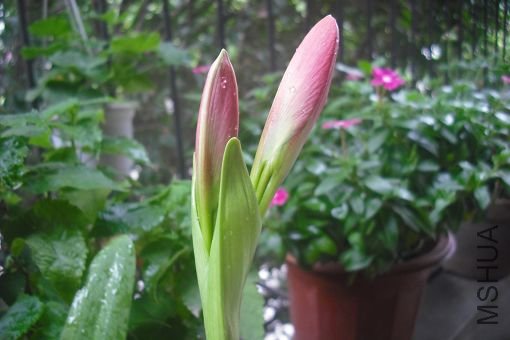 DSCF2281.jpg