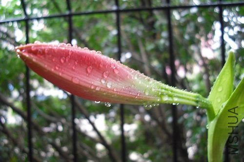 DSCF2335.jpg