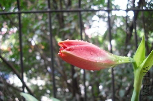 DSCF2357.jpg
