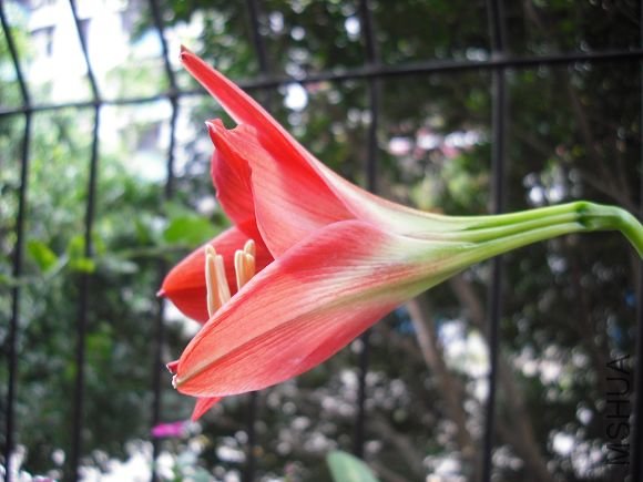 DSCF2375.jpg