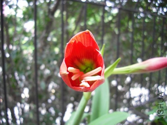 DSCF2372.jpg