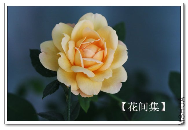 IMG_5950 ����.jpg