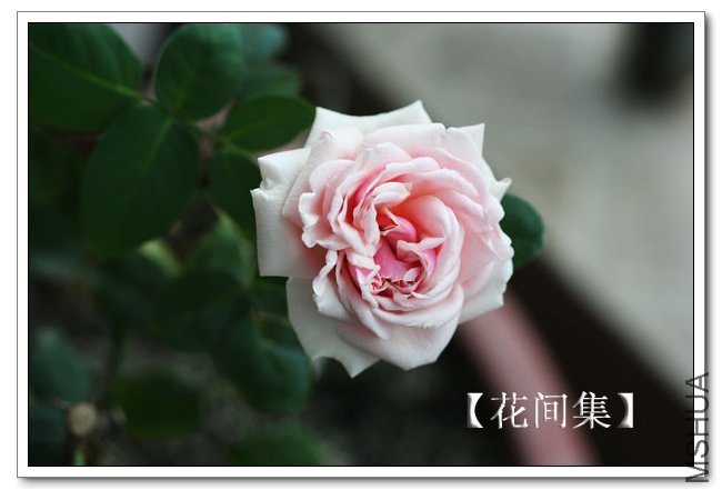 IMG_5948 ����.jpg